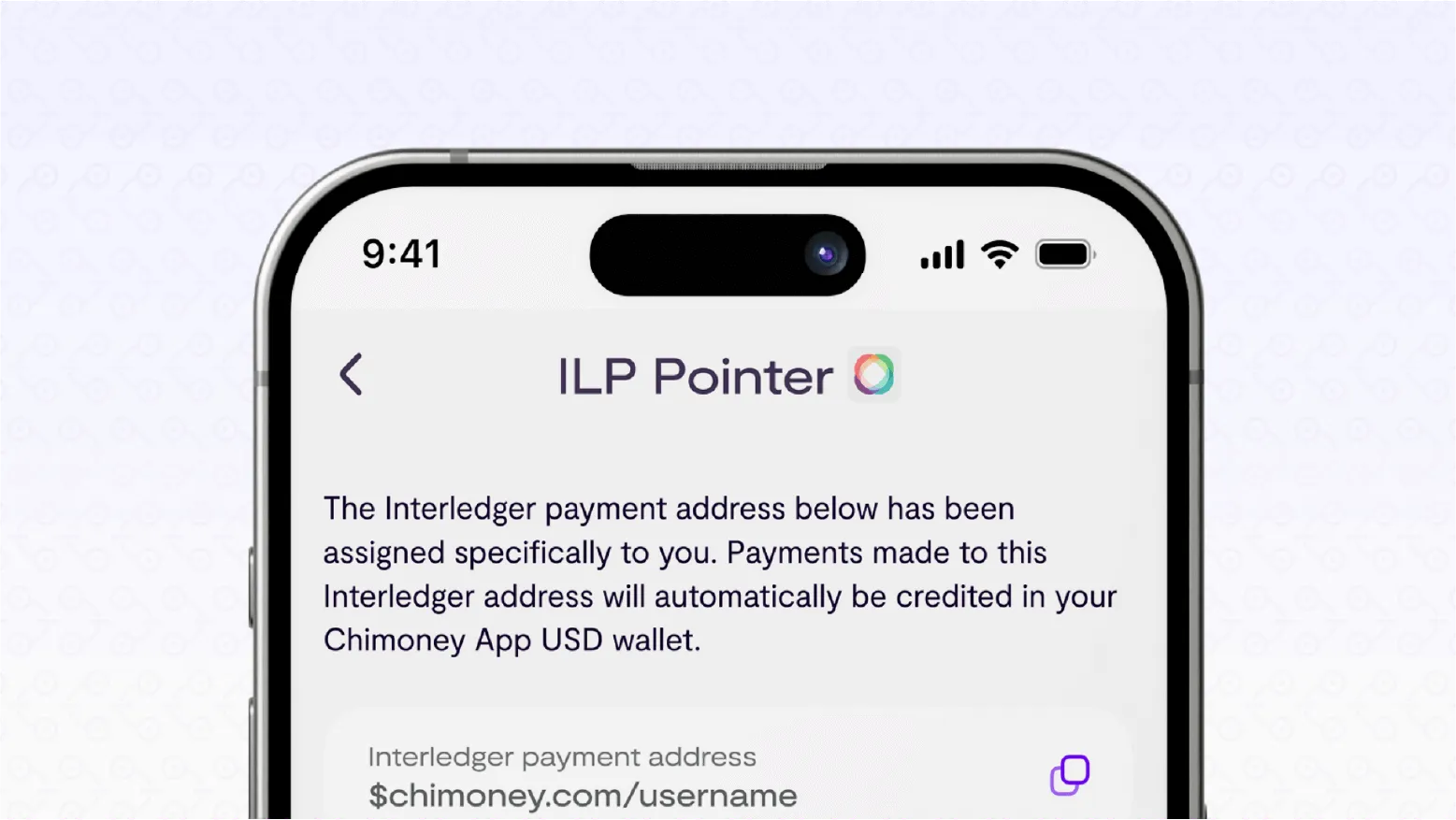 application view of screen where you receive a payment pointer