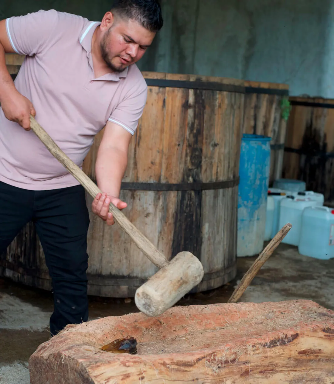 The mezcalero milling an agave plant with wooden mallet